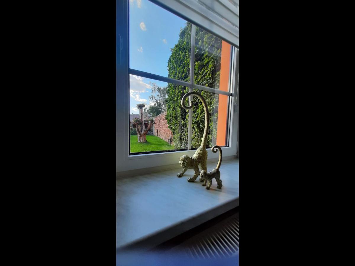 Apartment Zur Alten Gurkeneinlegerei Luebbenau